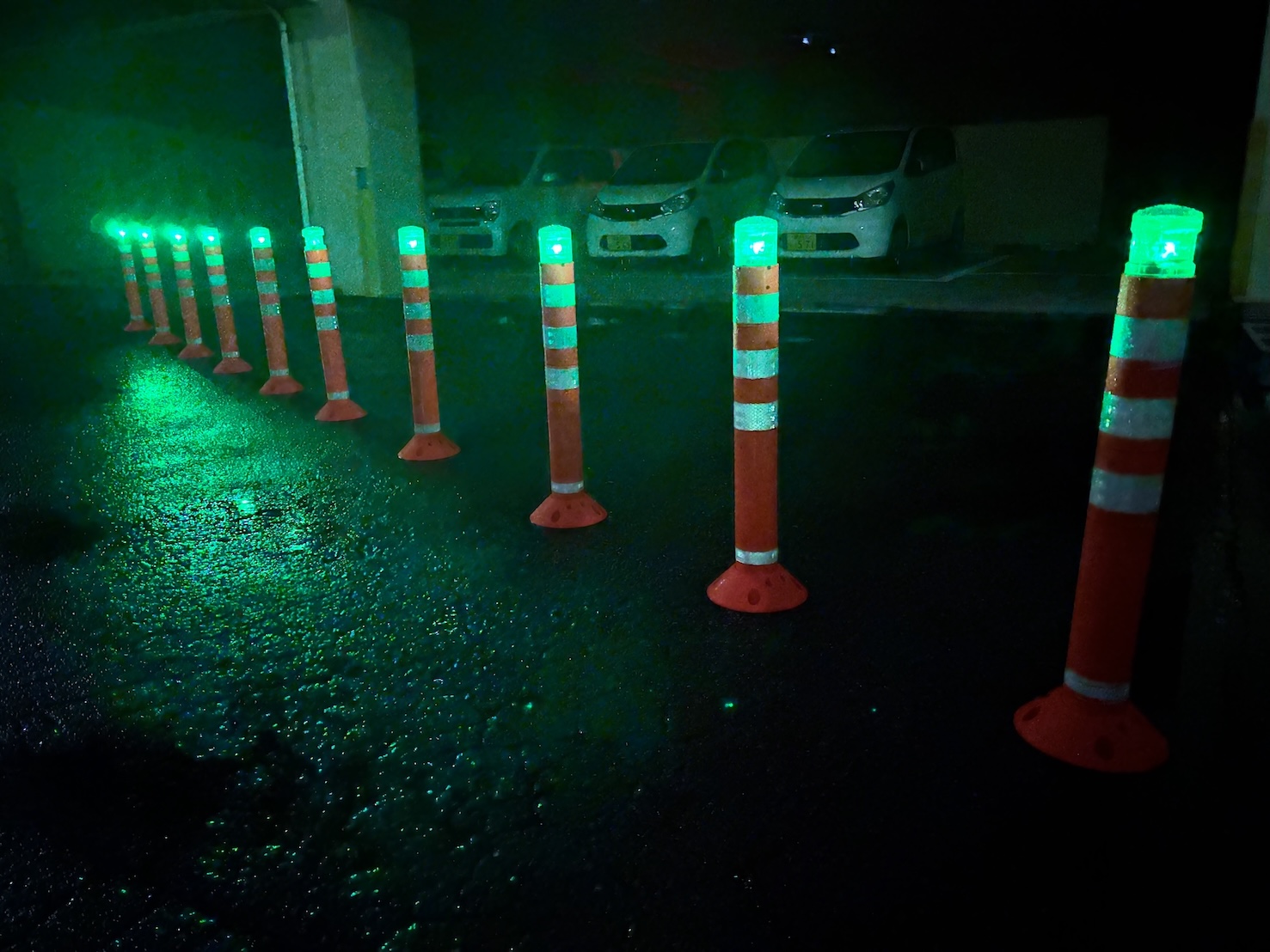 夜間の同期点滅(緑)